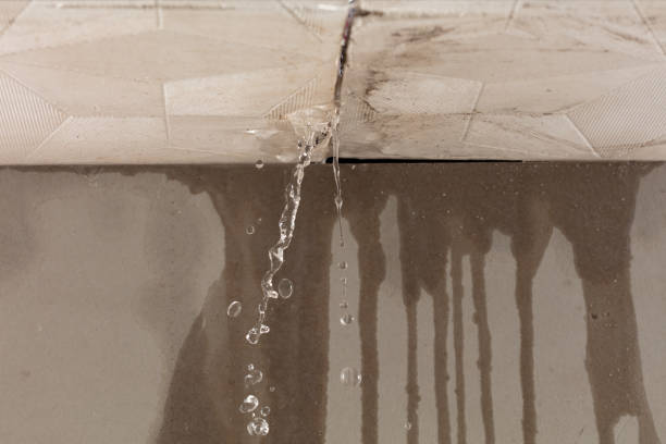 Professional Flood Damage Cleanup technician working in Dowling, MI